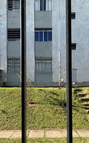 Apartamento para alugar com 63m², 2 quartos e 1 vaga Apartamento para alugar com 63m², 2 quartos e 1 vagaVista - Sala