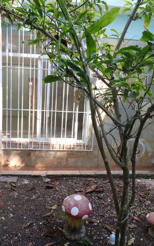Casa para alugar com 180m², 4 quartos e 3 vagasJardim