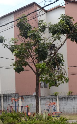 Apartamento para alugar com 56m², 2 quartos e 1 vagaFachada 