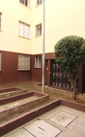 Apartamento para alugar com 52m², 2 quartos e 1 vaga Apartamento para alugar com 52m², 2 quartos e 1 vagaÁrea comum