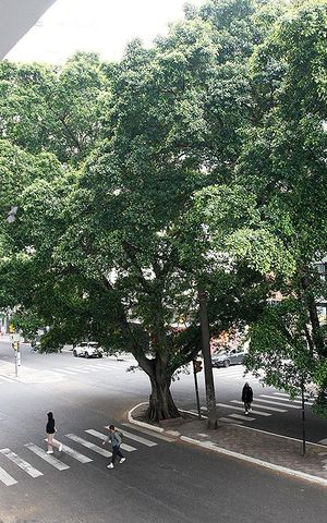 Studio à venda com 32m², 1 quarto e sem vagaVista da sala