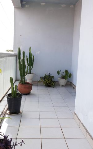 Casa para alugar com 386m², 4 quartos e 3 vagasSacada dos quartos 2 e 3