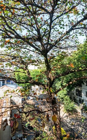 Apartamento à venda com 112m², 3 quartos e 2 vagasVaranda 