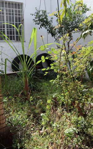 Casa para alugar com 50m², 1 quarto e 1 vagaJardim
