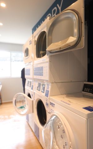 Apartamento para alugar com 39m², 2 quartos e sem vagaÁrea comum - Lavanderia Coletiva