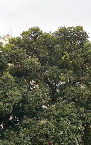 Apartamento à venda com 40m², 1 quarto e sem vaga