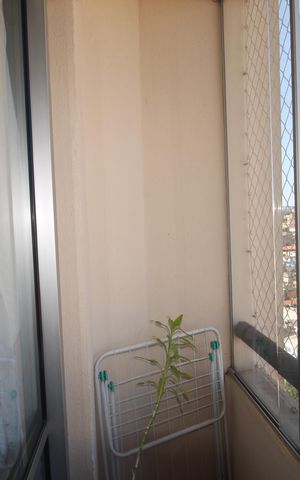 Apartamento à venda com 50m², 2 quartos e 1 vagaSala - Varanda