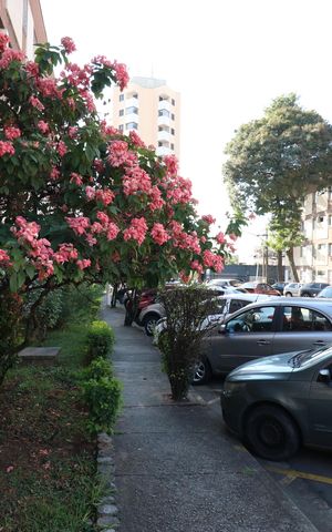 Apartamento para alugar com 95m², 2 quartos e 1 vagaÁrea comum 