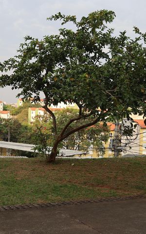 Apartamento à venda com 43m², 2 quartos e 1 vagaÁrea comum
