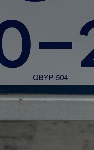 Apartamento para alugar com 52m², 3 quartos e sem vaga Apartamento para alugar com 52m², 3 quartos e sem vagaPlaca QBYP 504