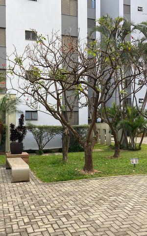Apartamento à venda com 55m², 2 quartos e 1 vaga