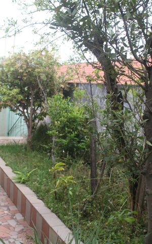 Casa à venda com 315m², 3 quartos e 2 vagasQuintal