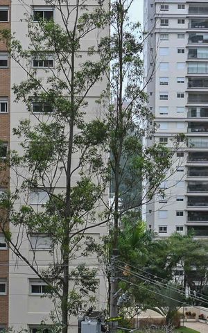 Apartamento para alugar com 185m², 4 quartos e 3 vagasVista da Suíte 2