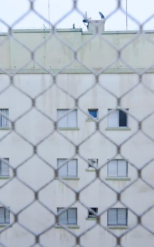 Apartamento para alugar com 63m², 2 quartos e 1 vagaVista do Quarto 1