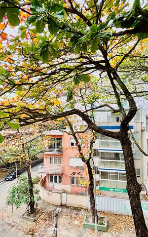 Apartamento à venda com 103m², 3 quartos e sem vagaVista da varanda do quarto 2