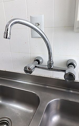 Apartamento para alugar com 66m², 2 quartos e 1 vagaCozinha - Torneira