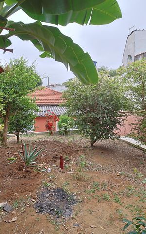 Casa para alugar com 350m², 5 quartos e 2 vagasQuintal