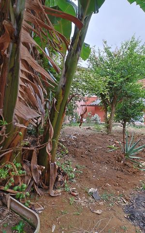 Casa para alugar com 350m², 5 quartos e 2 vagasQuintal