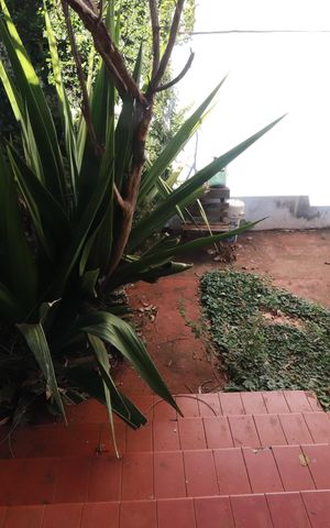 Apartamento para alugar com 1000m², 2 quartos e 35 vagasVaranda 