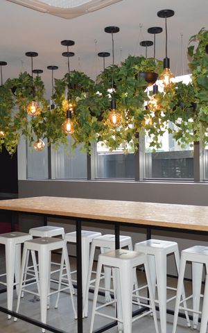 Studio para alugar com 24m², 1 quarto e sem vagaEspaço Café