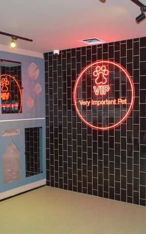 Studio para alugar com 24m², 1 quarto e sem vagaEspaço Pet care