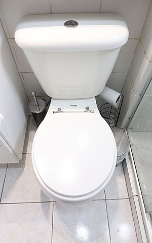 Apartamento para alugar com 54m², 2 quartos e 1 vagaBanheiro