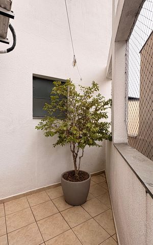 Apartamento à venda com 105m², 3 quartos e 1 vagaÁrea privativa 