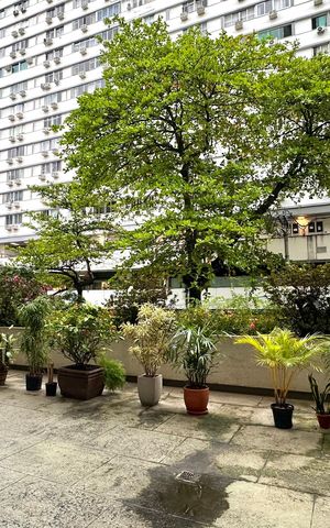 Apartamento à venda com 81m², 2 quartos e 1 vaga