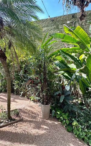 Casa de condomínio para alugar com 70m², 1 quarto e 1 vagaÁrea verde