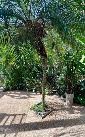 Casa de condomínio para alugar com 70m², 1 quarto e 1 vagaVista cozinha