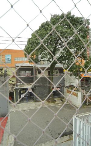 Apartamento para alugar com 38m², 1 quarto e 1 vagaVista  Studio