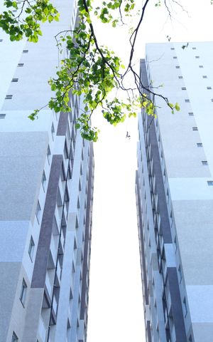 Apartamento para alugar com 26m², 1 quarto e sem vagaPrédios