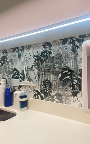 Apartamento para alugar com 60m², 2 quartos e 2 vagasCozinha - Área de Serviço