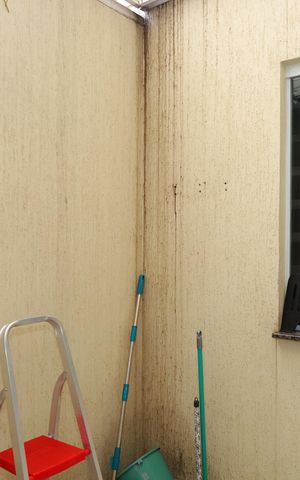 Apartamento à venda com 54m², 2 quartos e 1 vagaÁrea de Serviço
