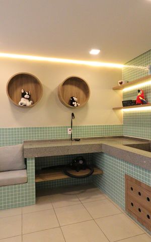 Apartamento para alugar com 30m², 2 quartos e sem vagaÁrea comum - Pet