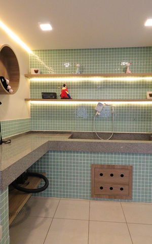 Apartamento para alugar com 30m², 2 quartos e sem vagaÁrea comum - Pet