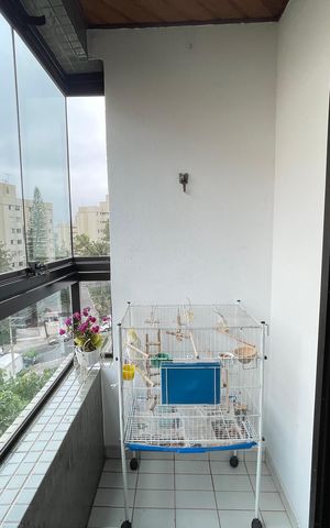 Apartamento à venda com 74m², 3 quartos e 2 vagasVaranda