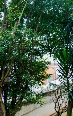 Apartamento à venda com 43m², 2 quartos e 1 vagaVista do Quarto 2