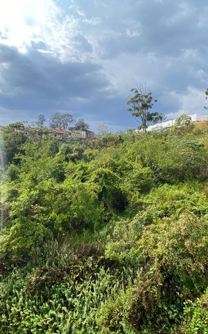Apartamento à venda com 44m², 2 quartos e 1 vagaÁrea de Serviço - Vista