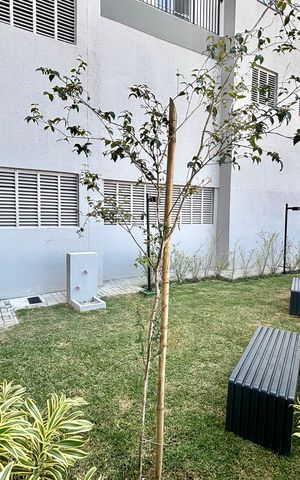 Casa para alugar com 39m², 2 quartos e sem vaga Casa para alugar com 39m², 2 quartos e sem vagaÁrea comum