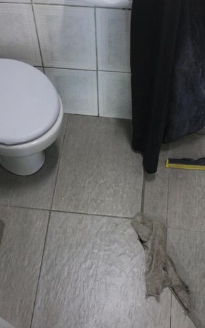 Casa à venda com 352m², 9 quartos e 5 vagasBanheiro do salão
