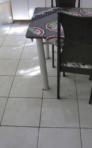 Casa à venda com 352m², 9 quartos e 5 vagasCozinha (casa 3)
