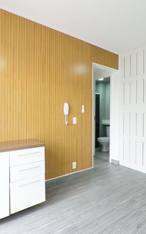 Apartamento para alugar com 37m², 2 quartos e sem vagaSala