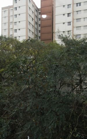 Apartamento para alugar com 60m², 3 quartos e 1 vaga Apartamento para alugar com 60m², 3 quartos e 1 vagaVista quarto 2