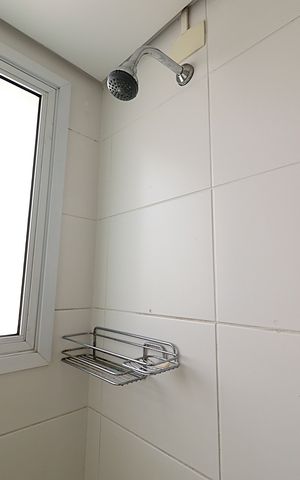 Apartamento para alugar com 41m², 1 quarto e 1 vagaBanheiro