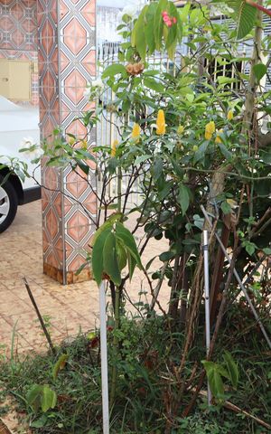 Casa à venda com 160m², 3 quartos e 1 vagaGaragem e quintal