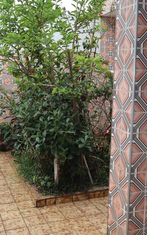 Casa à venda com 160m², 3 quartos e 1 vagaGaragem e quintal