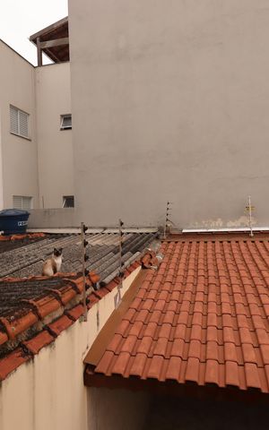 Casa à venda com 179m², 3 quartos e 2 vagasVista da Cozinha