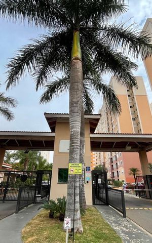 Apartamento à venda com 58m², 2 quartos e 1 vaga Apartamento à venda com 58m², 2 quartos e 1 vagaFachada e portaria
