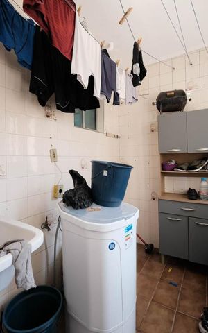 Apartamento à venda com 52m², 3 quartos e 1 vagaCozinha e Área de Serviço